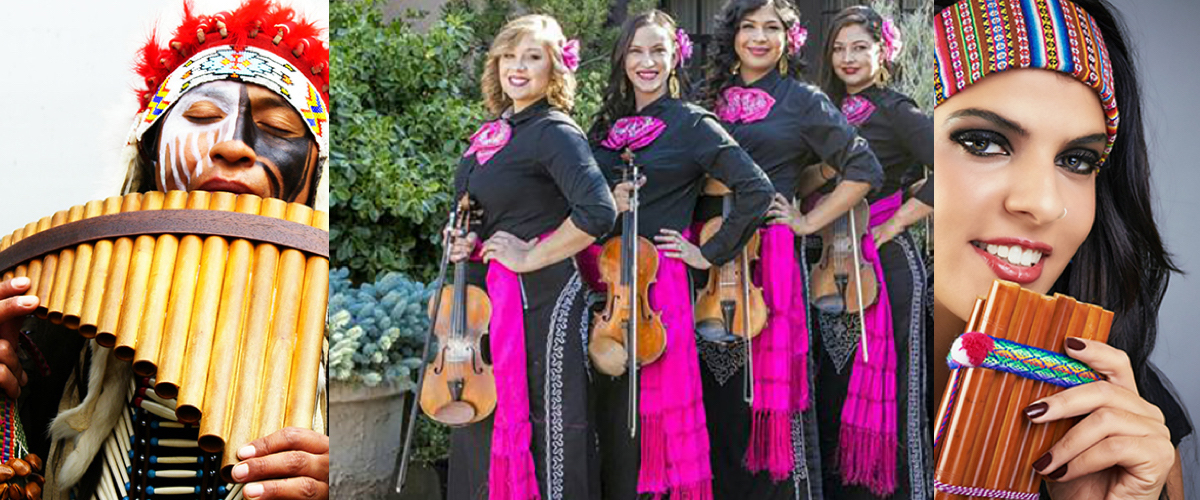 Mariachi een kledingoptie van volledig wit of zwart of roze